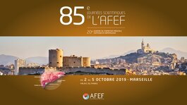 AFEF 2019 banner